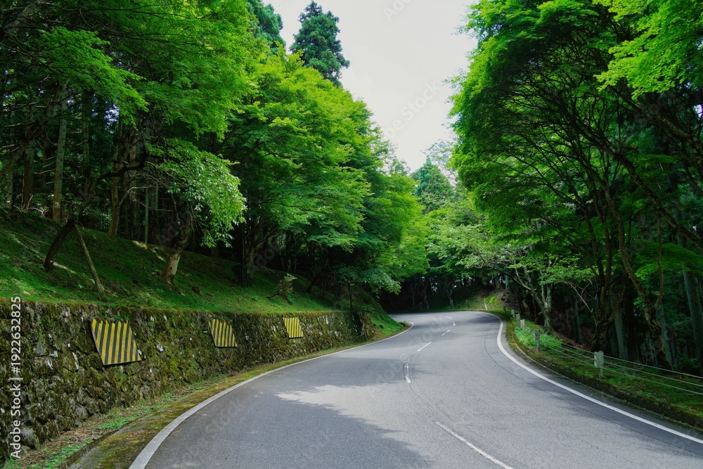 Obraz premium The mountain scenery of Mount Hiei in Japan