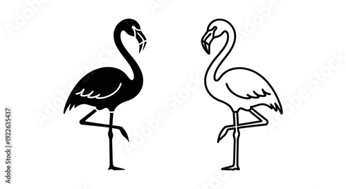 Black and white flamingo birds standing on one leg illustration vector design Vector