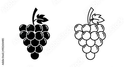 Black and white grapes illustration, vector, clipart, design, fruit, food, nature, vine, bunch, healthy Vector