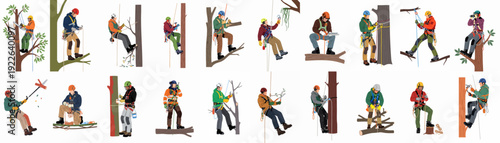 Arborist and Tree Surgeon Activities Collection. Tree care professionals working with ropes, harnesses, and tools, illustrating various aspects of professional tree maintenance.