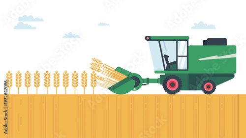 Green Combine Harvester Cutting Wheat Crops.
