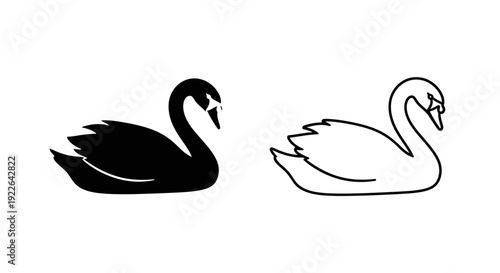 Black and white swan vector illustration, swan pair, swan symbol, swan art Vector