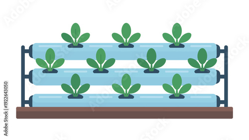 Hydroponic System with Green Plants Growing.