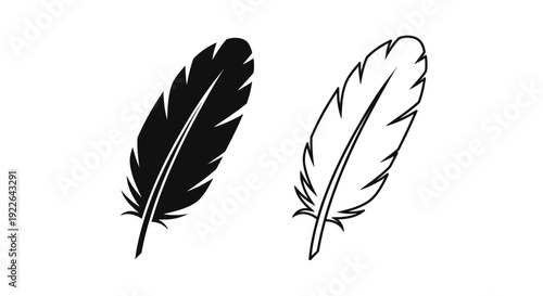 Two feathers, black and white feather, feather design, feather illustration Vector