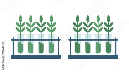 Green Plants in Glass Containers on Racks.