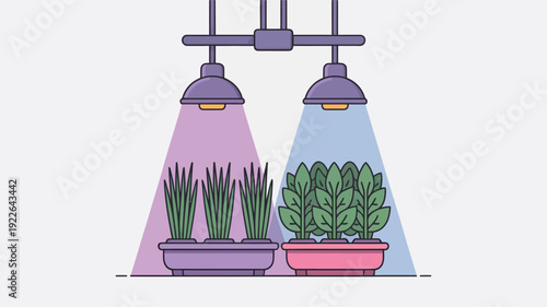 Potted Plants Under Colored Grow Lights.