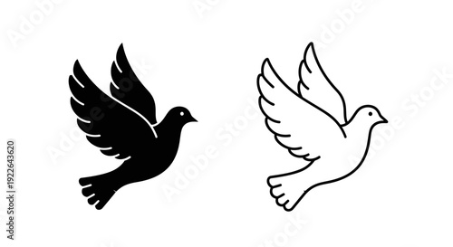 Two birds flying together in the sky, one black and one white, vector illustration Vector