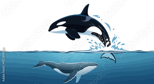 Orcas and dolphins interacting in a dynamic ocean scene with splashing water and aquatic animals