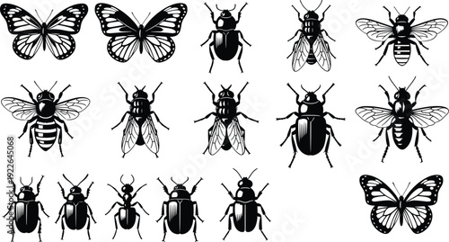 Butterfly and beetle insect engraving collection vintage bug vector illustration set