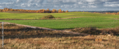 AUTUMN LANDSCAPE - Beautiful colorful trees on a sunny day
