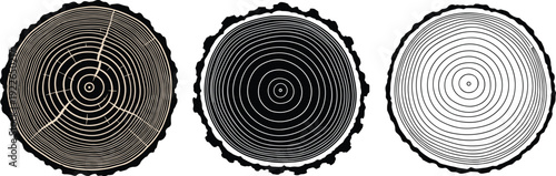 Three tree ring cross sections show the age of the tree, the rings are different colors and patterns, isolated on white background