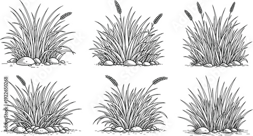 A set of six handdrawn grass tufts, each rendered in a detailed, sketchlike style, showcasing varying densities and arrangements of blades, isolated on white background