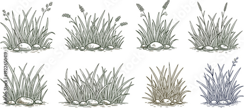 A set of eight handdrawn grass tufts, each with a unique style, showcasing various textures and arrangements, isolated on white background