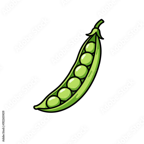 [Vector EPS]A fresh green pea pod with several peas inside