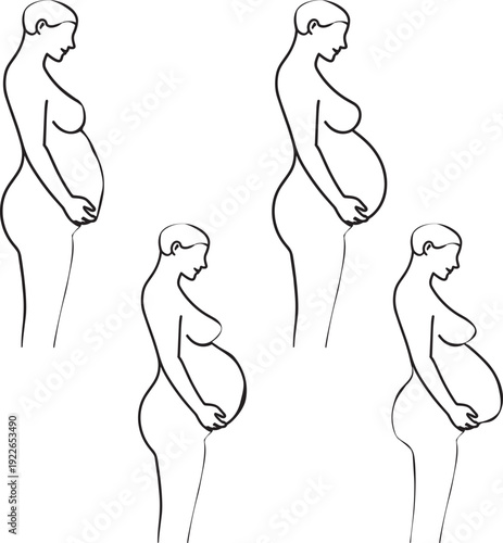 Pregnancy trimester stages icon