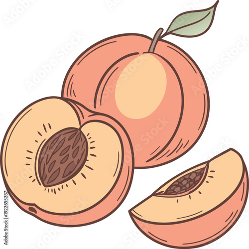 vector illustration of ripe plums