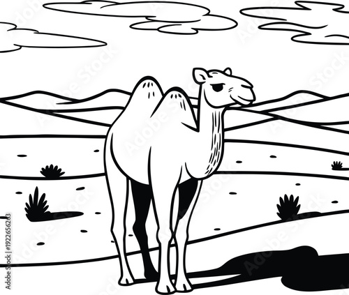 camel in desert vector illustration