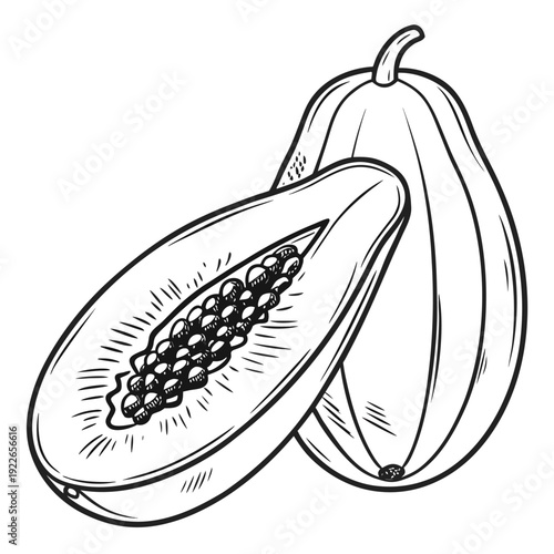 papaya vector