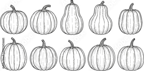 Pumpkin and gourd engraving collection vintage autumn harvest vegetable vector illustration set