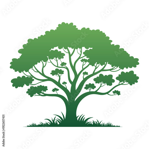 Green tree vector illustration isolated on white background with leaves and branches symbolizing nature and growth
