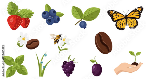 Nature and Food Icons Set: Berry, Coffee, Pollinator, and Growth Elements Vector Illustration. Ecology, Fresh Ingredients, and Agriculture Symbols.