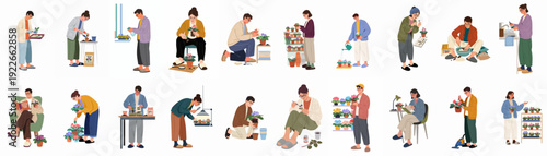 People tending to African violet plants: a comprehensive illustration of indoor gardening, propagation, and maintenance activities, showcasing a beloved home hobby.