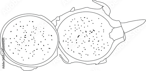 hand draw dragon fruits icons illustration set, dragon fruits fresh line sketch	