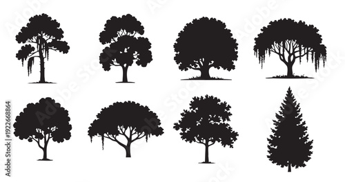 pine fir and broadleaf tree silhouettes