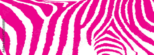 pink zebra stripes illustration