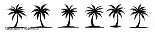 black palm trees set isolated on white background palm