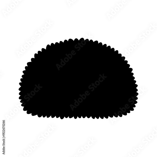 Single dense shrub plant with rounded shape, compact silhouette