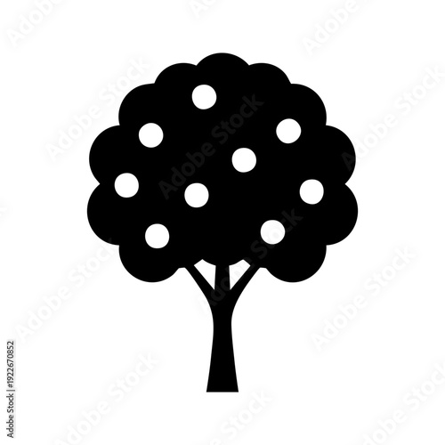 Single orange tree with clustered fruits and rounded leaf mass