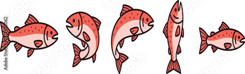Red salmon fish cartoon collection in different swimming poses seafood aquatic animal set flat vector illustration isolated.