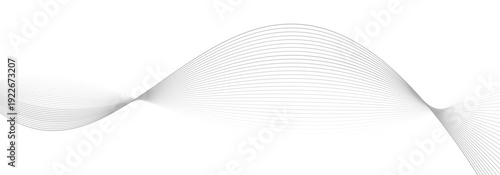 Abstract lines modern background, minimalist gray wave lines