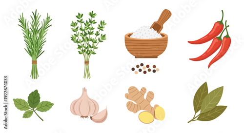 Kitchen Herbs and Spices Set: Rosemary, Thyme, Garlic, Ginger, Chili, Salt. Vector Illustration Collection.
