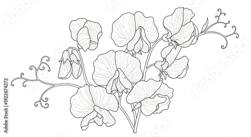 Elegant floral design with blooming flowers and leaves