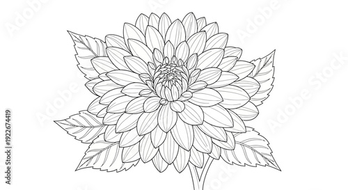 Beautiful flower illustration with detailed petals and leaves