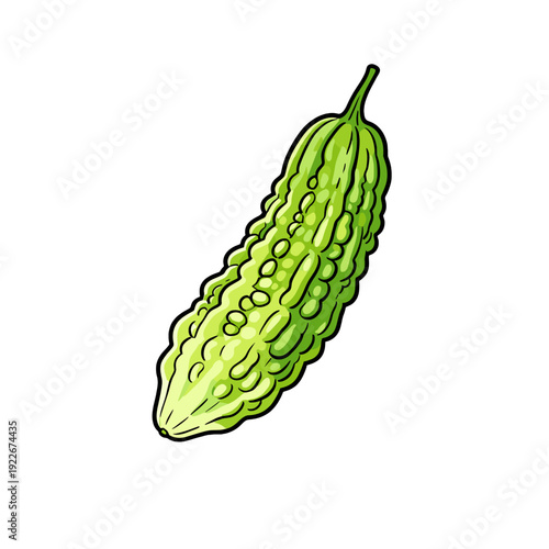 [Vector EPS]A green bitter gourd with a unique bumpy surface and a long shape