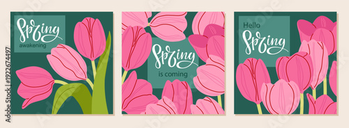 Spring greeting card with pink tulips. Spring is coming handwritten lettering with floral decoration. Freehand drawn vector illustration in flat style for spring celebration invitation, banner, card.