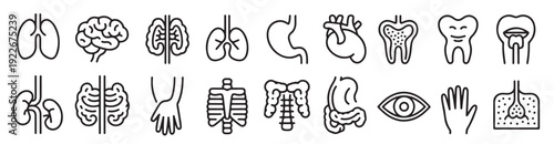 intestine icons human digestive system flat and line icons