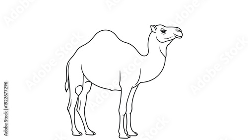 Simple black and white line drawing of a dromedary camel standing in profile showing its hump and long legs.