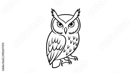 Detailed black and white line art illustration of an owl standing gracefully for nature, forest, and wisdom themed designs.