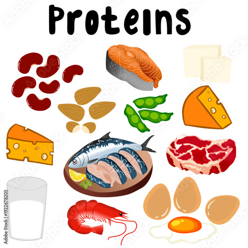 Set of cartoon protein food. High-proteins foods for nutrition and a healthy diet. Meat, fish, milk, egg, cheese, seed, almond. Proteins-rich foods, vector illustration.