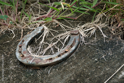 Ein auf Holz genageltes altes rostiges Hufeisen, umgeben von grünem und vertrocknetem Gras