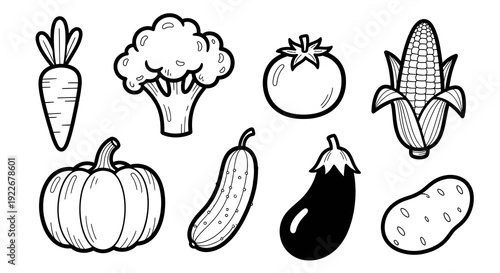 Food and Healthy Eating Black and White Line Art: Outline Doodle Set of Fresh Vegetables Including Carrot, Broccoli, Tomato, Corn, Pumpkin, Cucumber, Eggplant, Potato