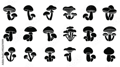 Collection of dark mushroom silhouettes showing different shapes and sizes for forest and autumn nature graphics.