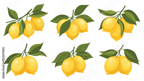 Yellow lemon branches with green leaves are illustrated in different clusters and groups, showcasing the bright citrus fruit.