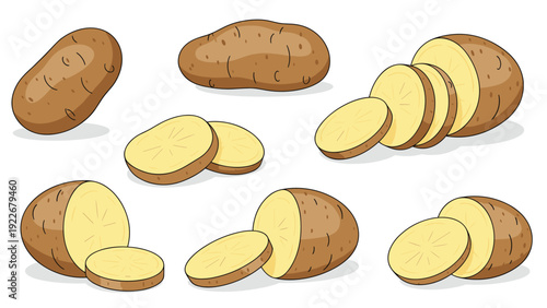Whole and sliced russet potatoes are depicted in simple colorful illustrations, showing the skin texture and starchy interior of the vegetable.