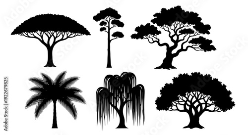 Nature and Landscape Vector Glyph Silhouettes: Diverse Tree Icons Set in Black and White, including Palm, Willow, Pine, Oak, and Acacia for Environment Design