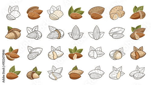 Comprehensive set of almond nut graphics includes whole shells, kernels, and leaves in both color and black and white styles.